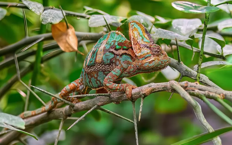异地分手如何挽回？掌握异地恋成功的秘诀！