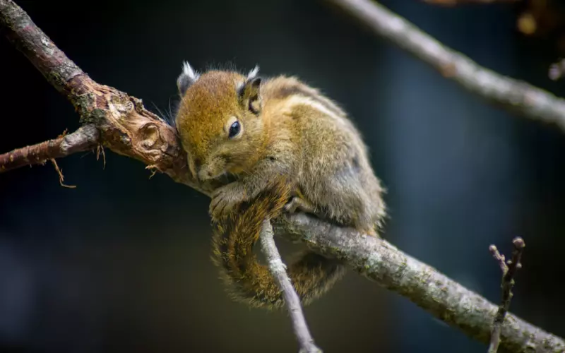 男人的厌倦期怎么挽回  情侣厌倦期怎么度过