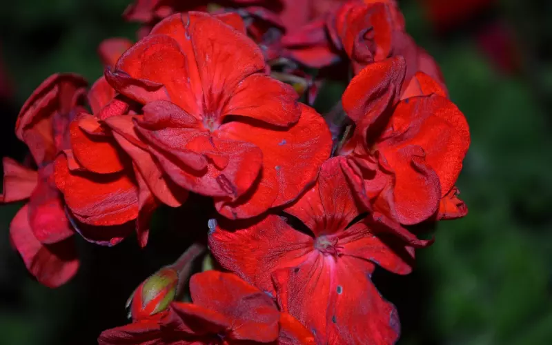 吵架把话说的太死了怎么挽回