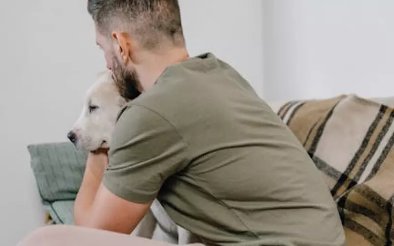 真性分手应该如何挽回