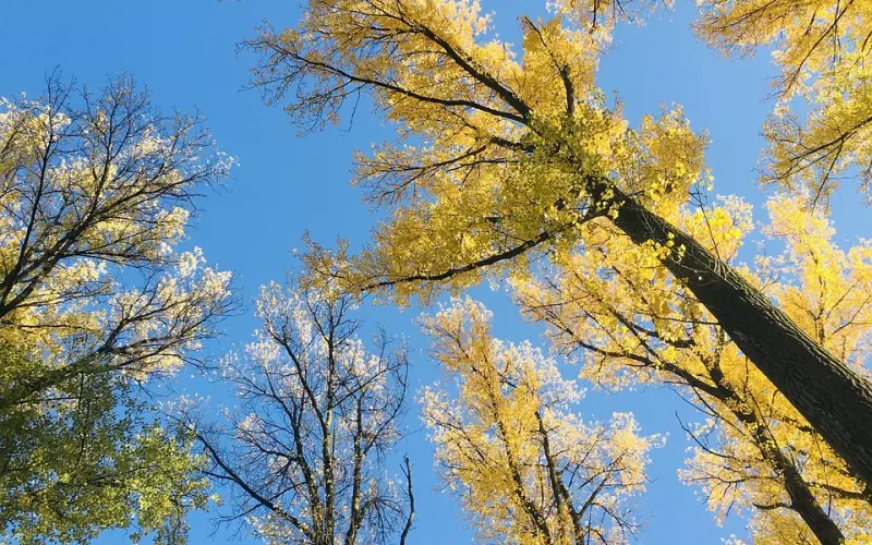 恋爱10个月突然被分手 该怎么挽回？