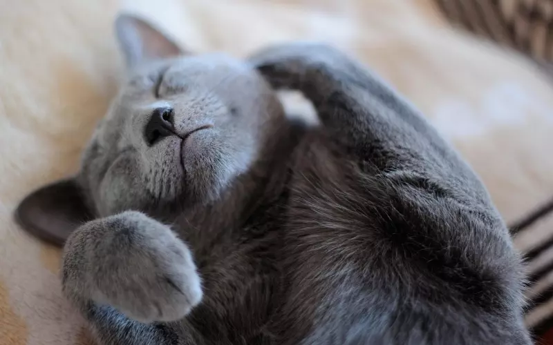 被喜欢的人讨厌如何挽回