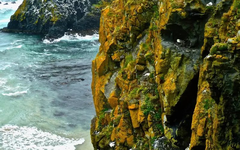 纠缠过被拉黑如何挽回