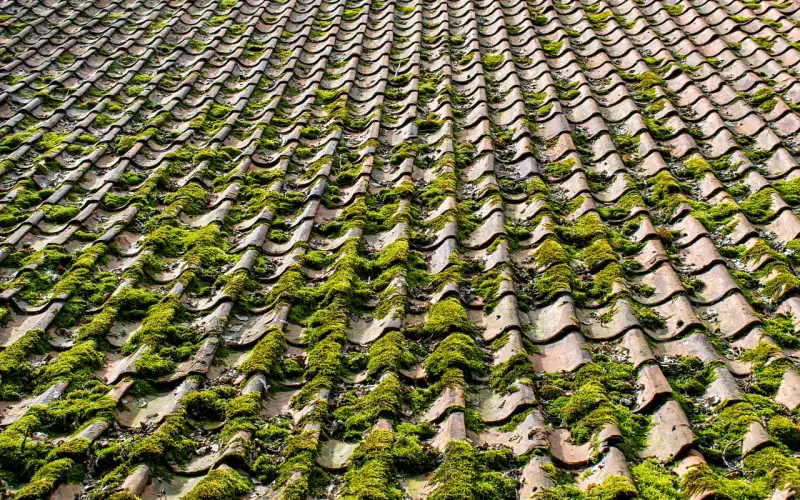 被全面拉黑怎么挽回