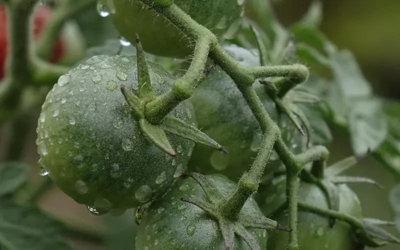 不合适不成熟怎么挽回