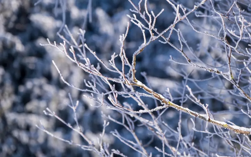 被彻底拉黑如何挽回