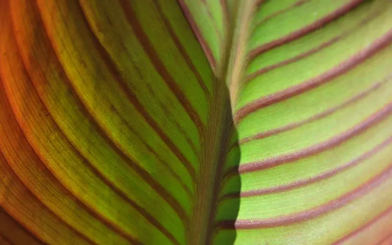 把他微信拉黑应该怎么挽回