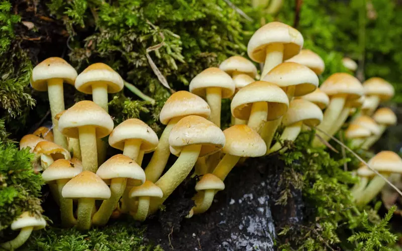 把天聊死了如何挽回