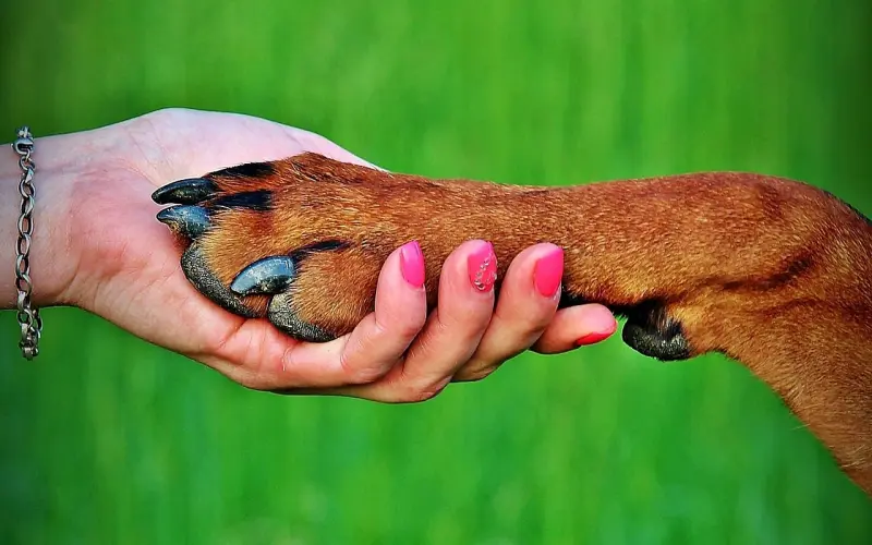 老公出轨怎么挽回，用对方法，牢牢拴住他的心