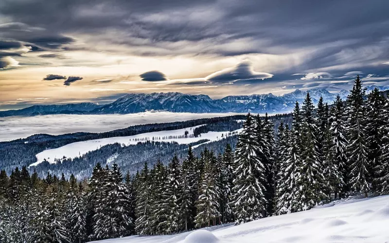 欺骗感情怎么去挽回