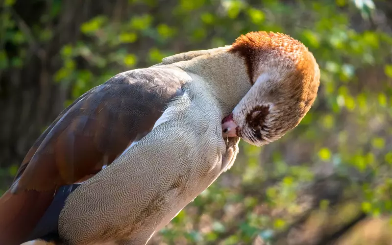 彻底死心了如何挽回