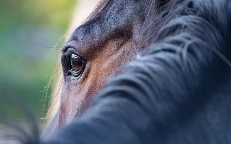 彻底死心了如何挽回