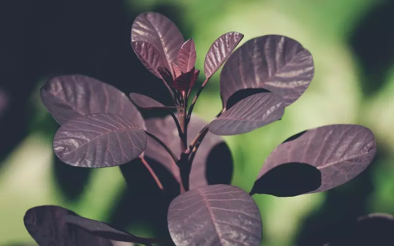 爱情淡化如何挽回