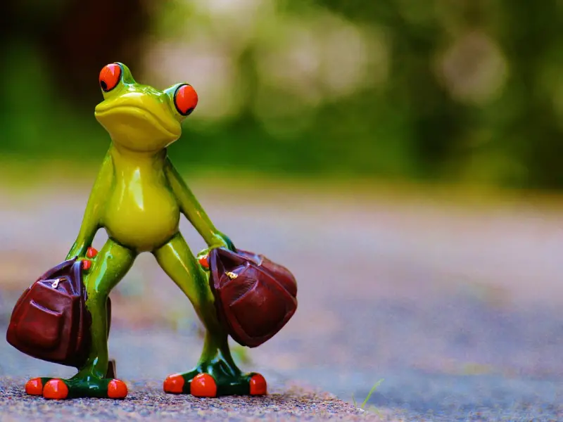 伤了老公的心该怎么挽回：老公说再也不信我了，该怎么挽回