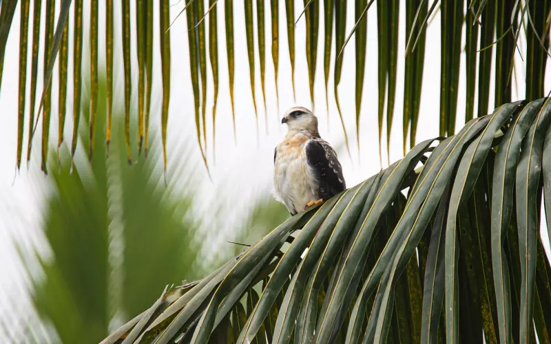 伤了别人的心了怎么挽回