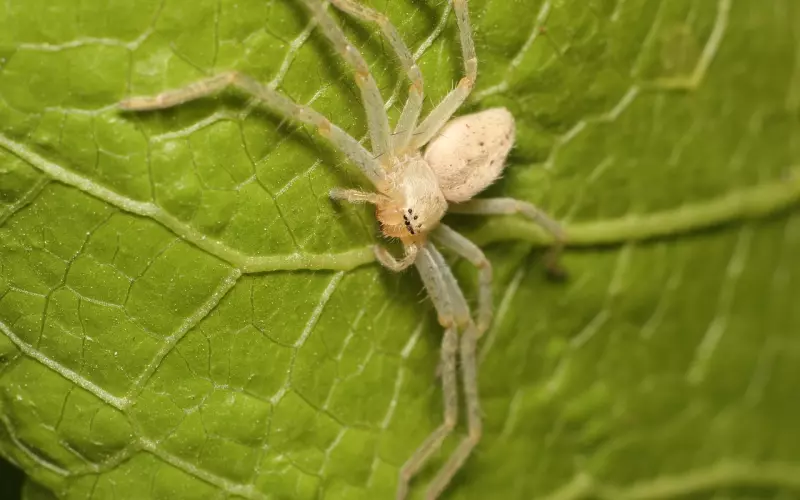 伤害一个喜欢你的人怎么挽回