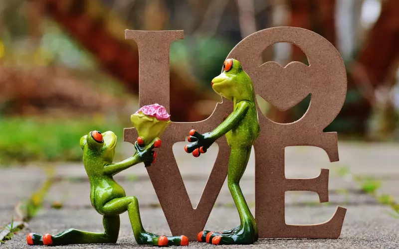 男友七夕求婚分手怎么挽回？情感专家帮你教招！