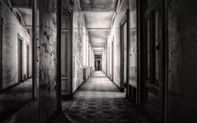 决心放下过去的拉黑怎么挽回