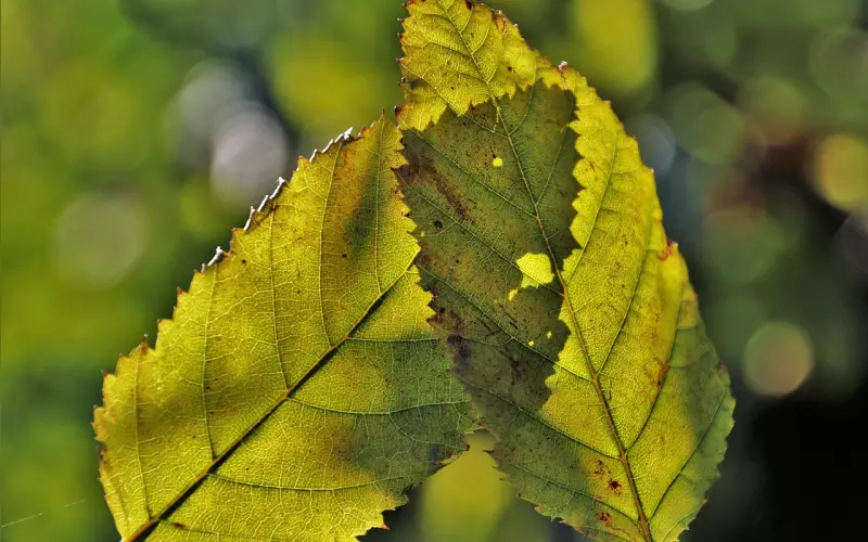 男朋友提出分手怎样挽回？情感挽回导师为你支招