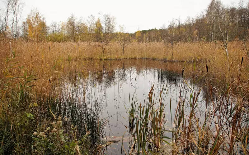 老公出轨挽回方法，别盲目挽回