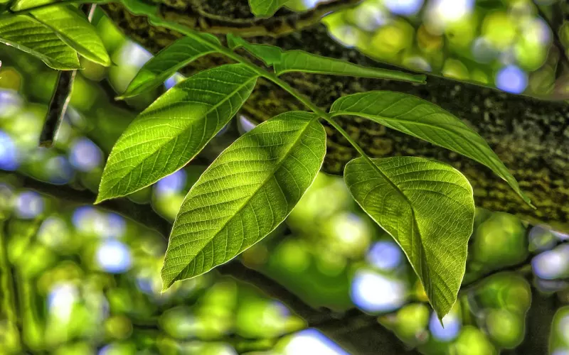 让男朋友心寒了怎么挽回  支招3个方法