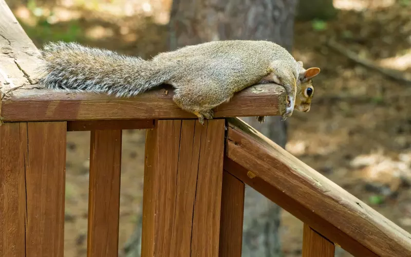 让男朋友心寒了怎么挽回  教你5个步骤