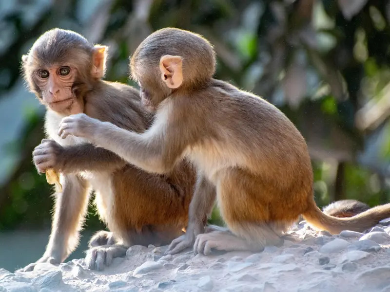 挽回方法：和男朋友分手很多天了怎么去挽回他