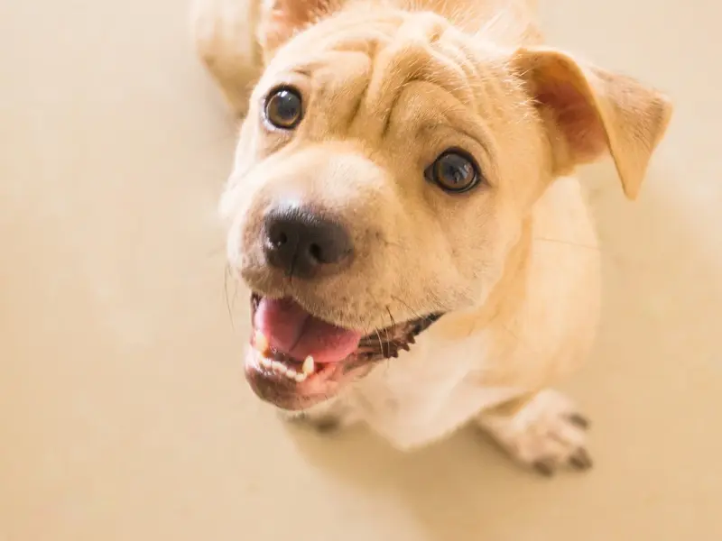 挽回方法：男朋友变心了和我分手，怎么样挽回他