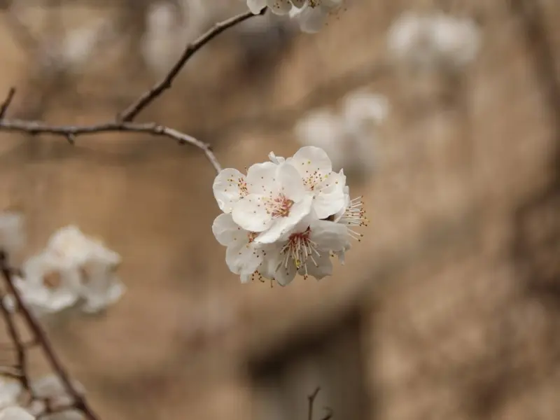 挽回方法：男朋友对我没有感觉了和我分手，该怎么去挽回他