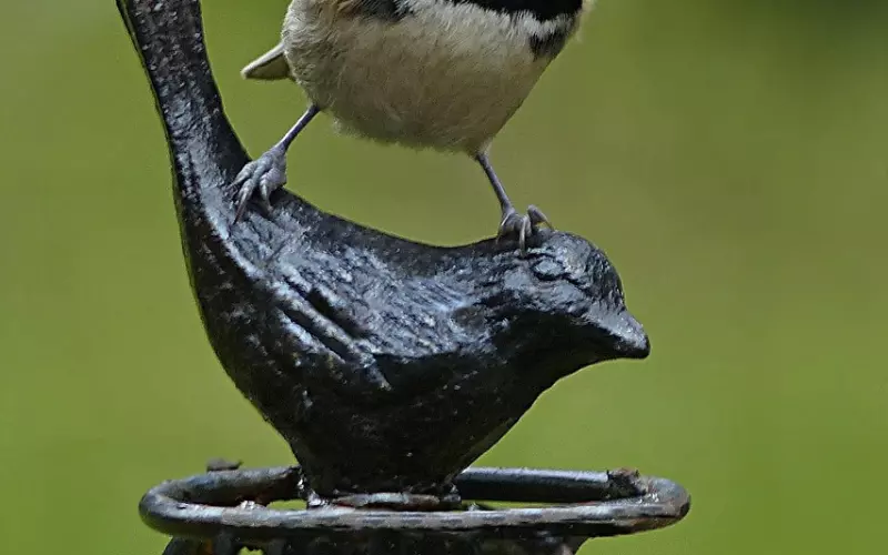 冷静期怎么挽回技术贴