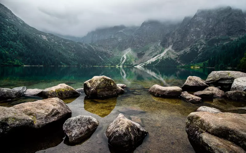 伤透心发现的真爱如何挽回