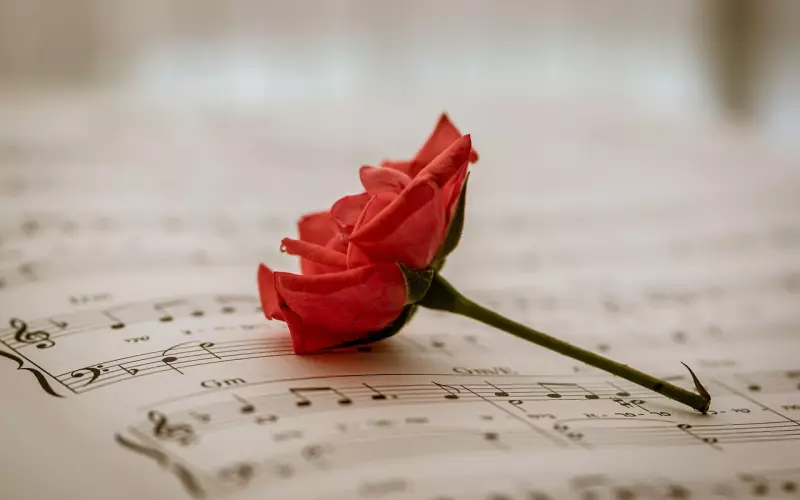 错过的一段感情该怎么挽回