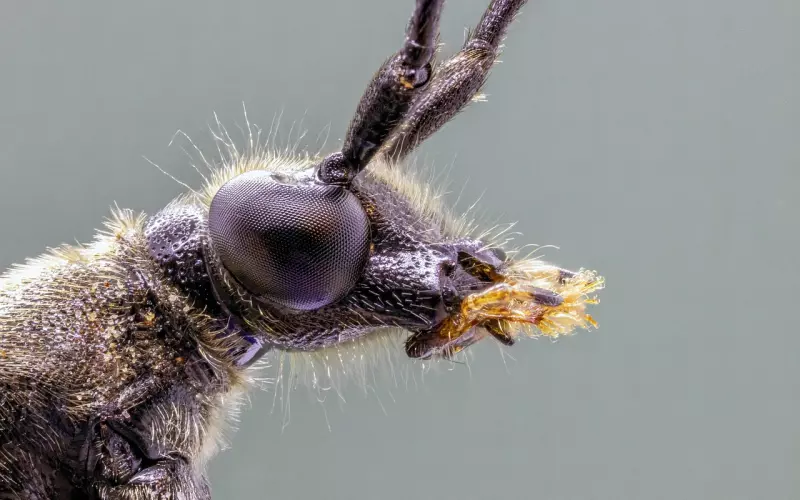 怎么挽回对方的话不被发现？教你有效的方法！