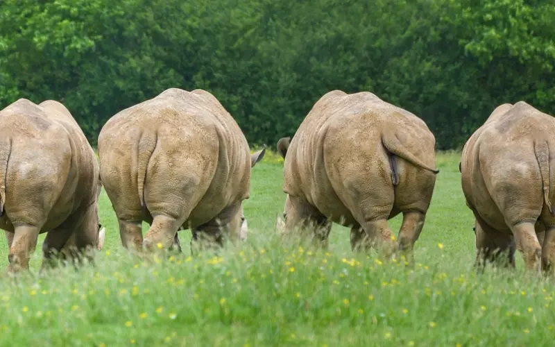 挽回该怎么聊对方回个问号