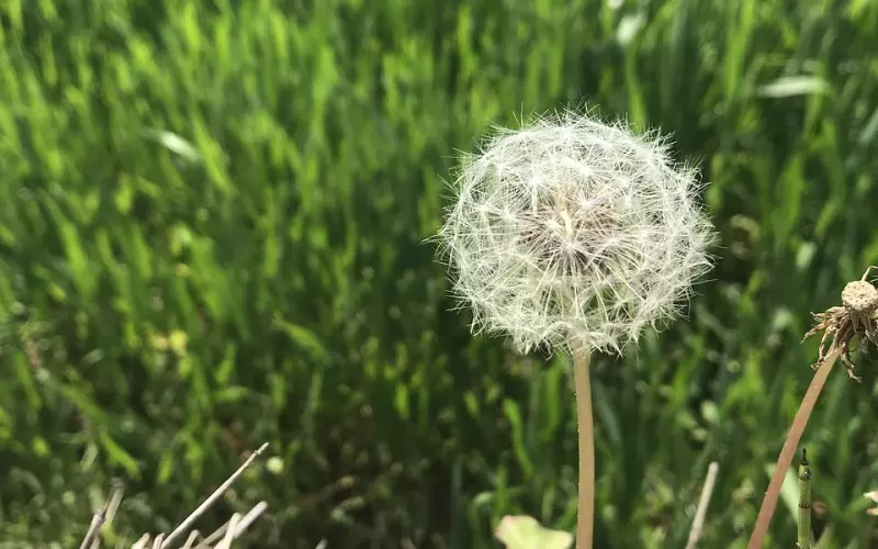 失恋了怎么挽回自己的感情(失恋不可怕教你如何成功挽回感情)
