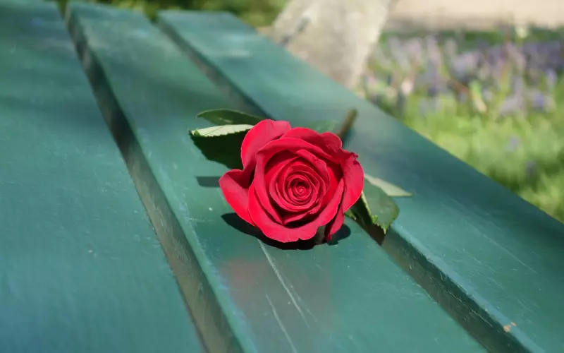 挽回感情的方法：前男友爱上别人我还有机会挽回吗？