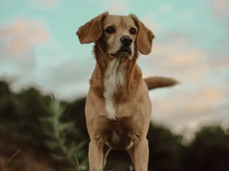 挽回，如何变成一个男人喜欢的女人？这样做你才能吸引住他！