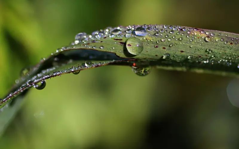 分手挽回男友之如何降低你的需求感