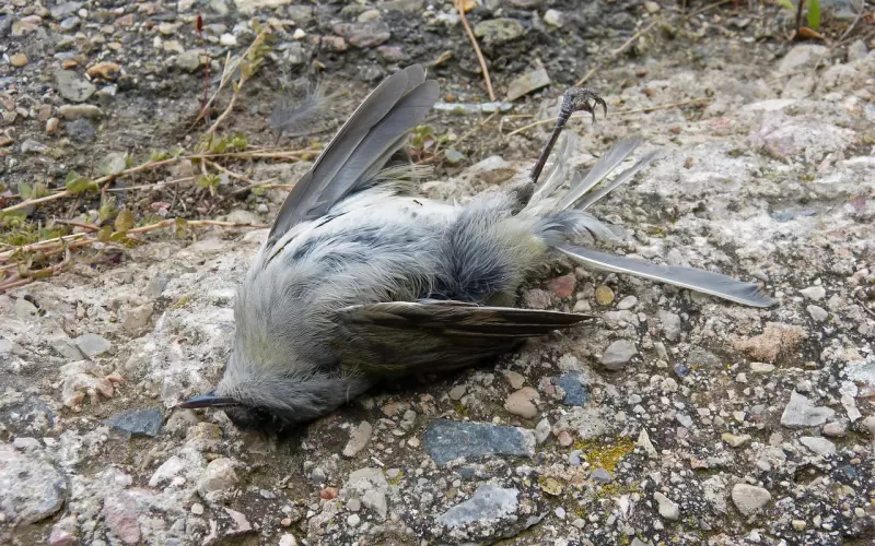 妻子去世两年了如何挽回失去的爱情
