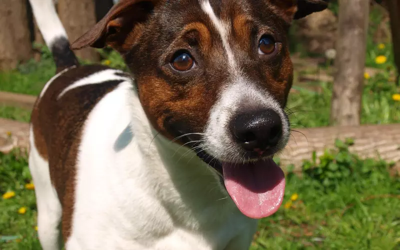 怎么挽回男朋友的信任？