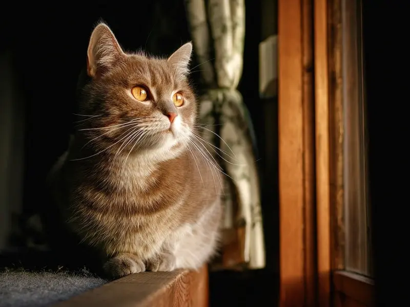 怎样修复一段婚姻？因为自己太不顾家老婆绝望，怎么才能挽回？