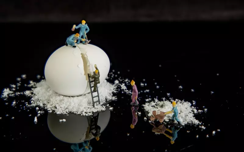 成功挽回爱情后该如何修复感情？