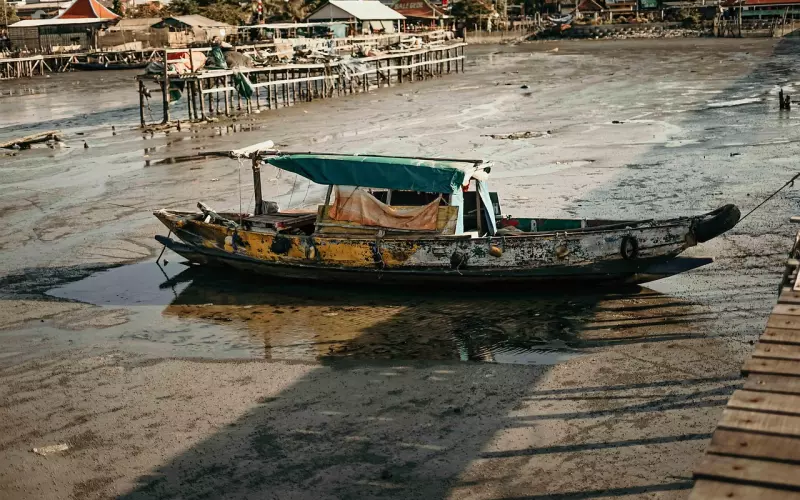 联系方式全删怎么挽回