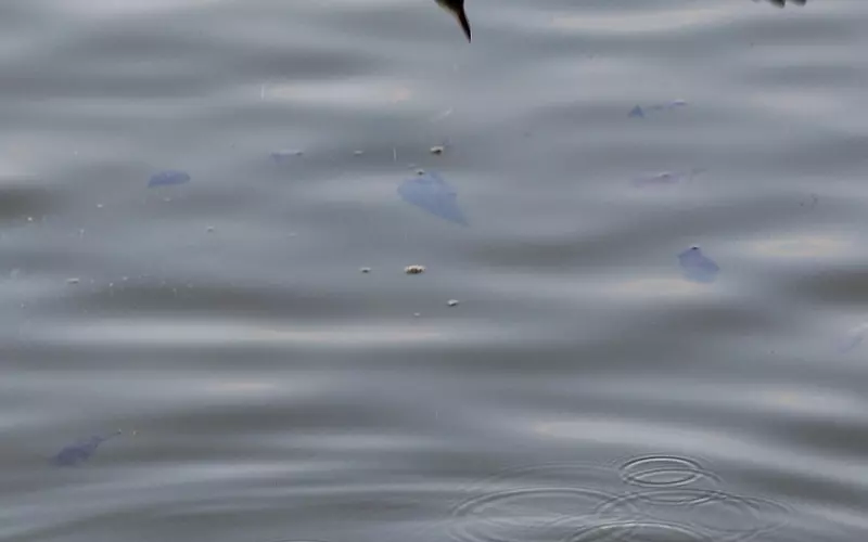 被删了联系怎么挽回