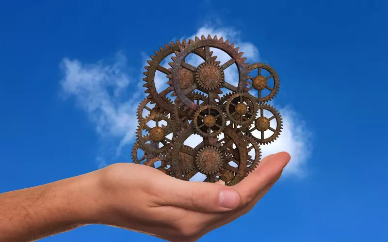 联系方式被删了如何挽回