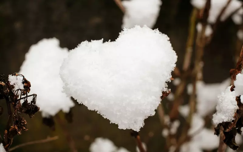 如何挽回感情中他那颗“已死的心”？