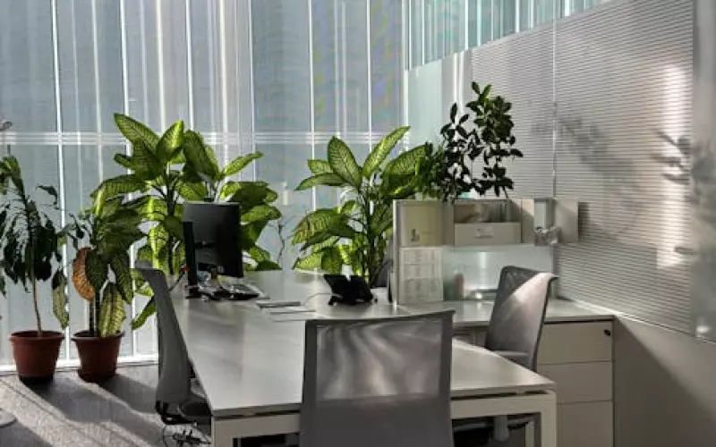 冷冻后怎么挽回爱情(什么情况适合冷冻挽回法)