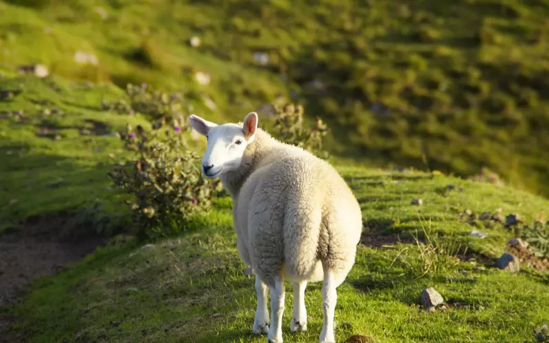 怎么挽回爱情成功：教他回头看见你的好