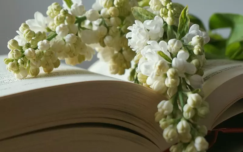 如何用一句话挽回爱情？挽回女友的话就该这么说！