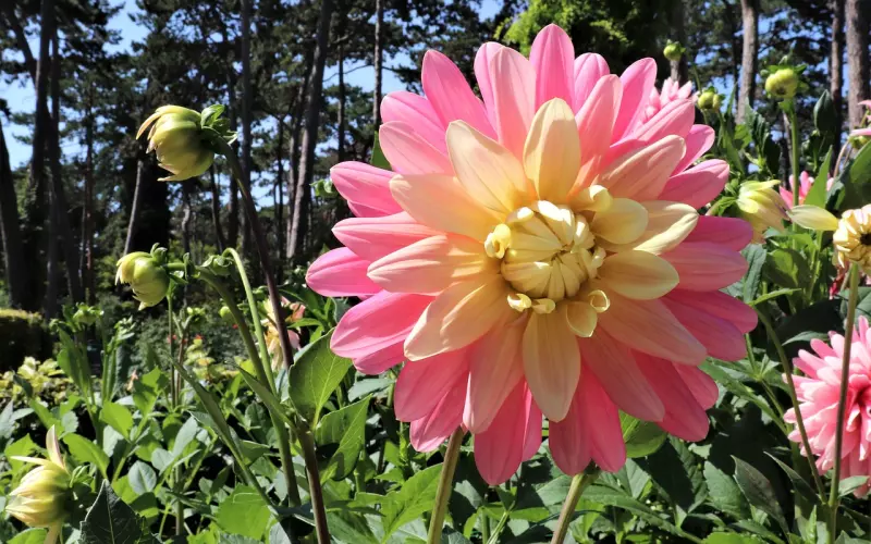 如何挽回旧情，和爱人复合？